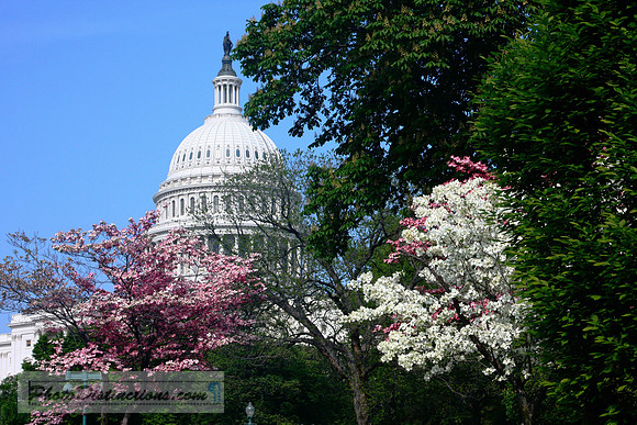 DC capitol_HDR2a1 copy