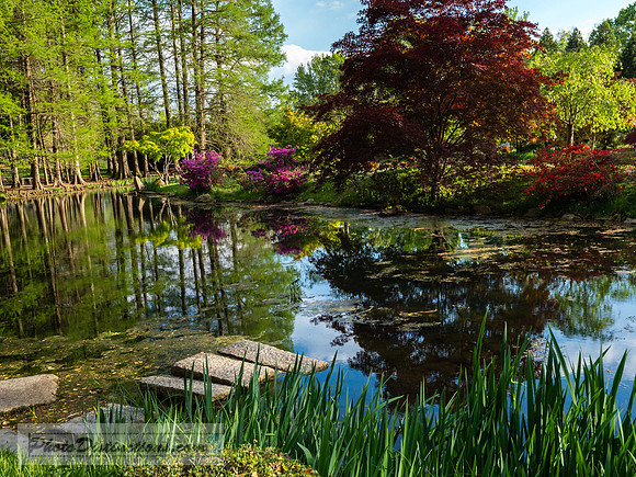 MAYMONT-31-7-18