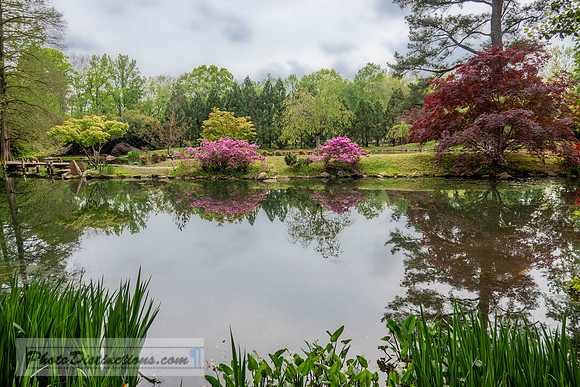 MAYMONT (318 of 516)-HDR-8