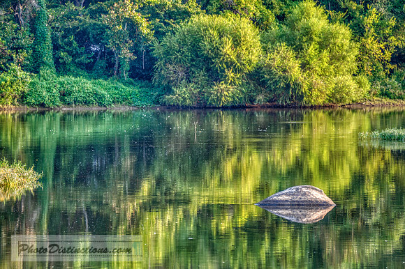PONY PASTURE_-248-11
