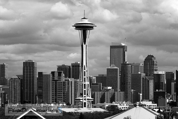 _MG_3360