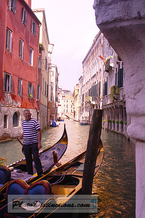 IMG_7197 copy