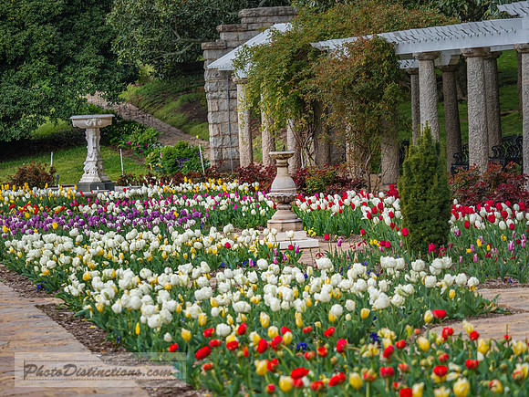 MAYMONT (60 of 154)-1