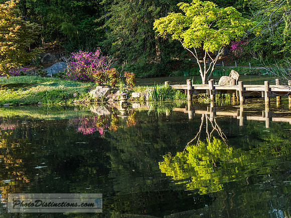 MAYMONT-52-4-7