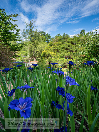 LEWIS GINTER_-268-2-HDR-46