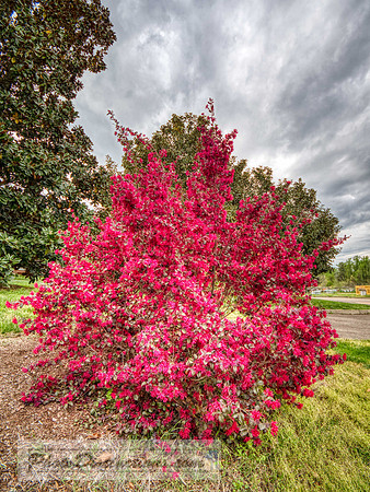 LEWIS GINTER-473-3-19