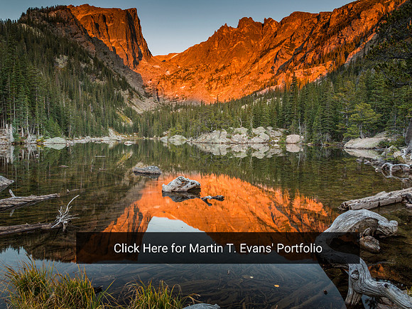 Click Here for Martin T. Evans' Portfolio-2