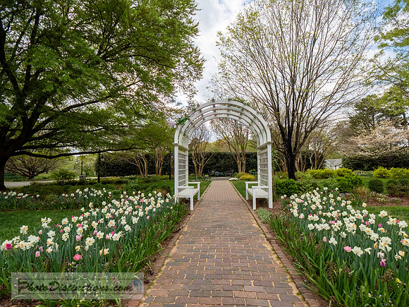 LEWIS GINTER-313-3-HDR-18