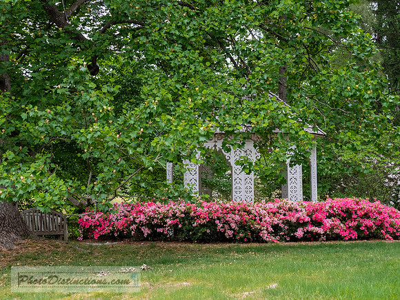 LEWIS GINTER-583-HDR-35