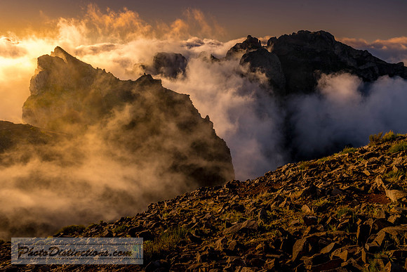 MADEIRA-7