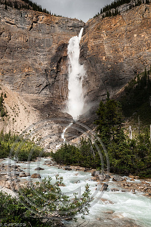 CANADIAN ROCKIES-4498