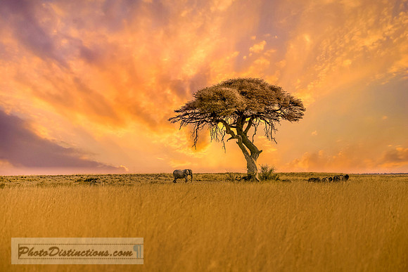 NAMIBIA-12