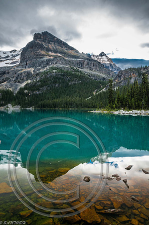CANADIAN ROCKIES-4287