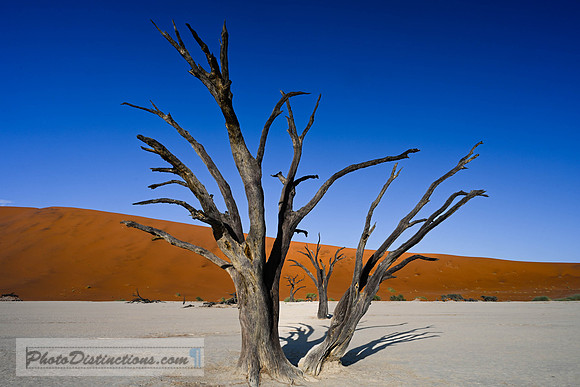 NAMIBIA-7