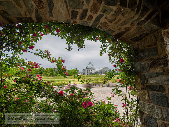 LEWIS GINTER-766-2-HDR-49