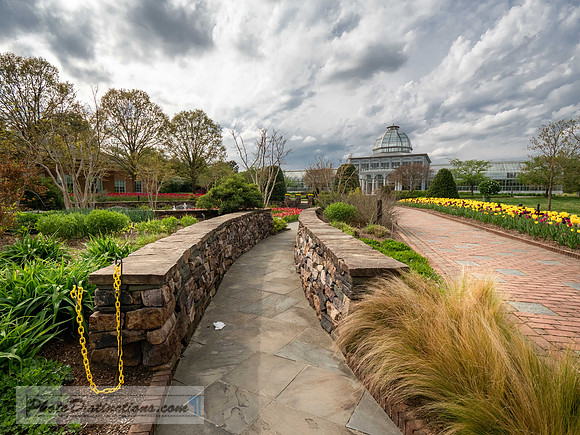 LEWWIS GINTER-402-HDR-28