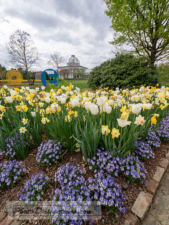 LEWIS GINTER-93-3-HDR-16