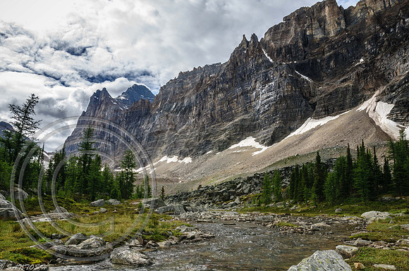 CANADIAN ROCKIES-4343