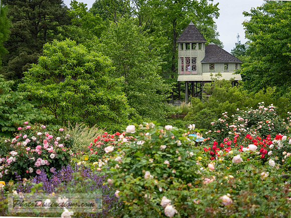LEWIS GINTER-118-5-HDR-33