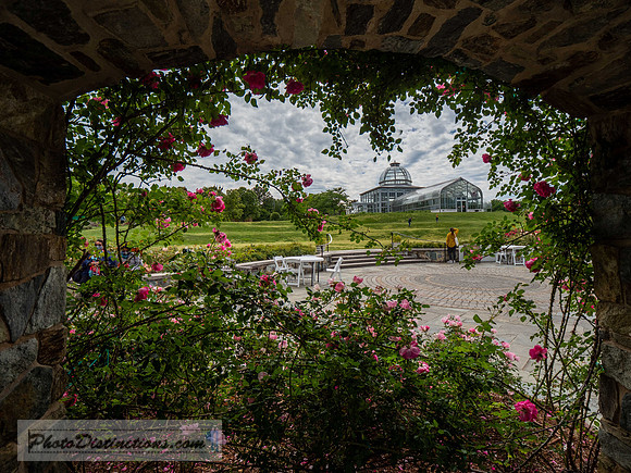 LEWIS GINTER_-197-2-HDR-32
