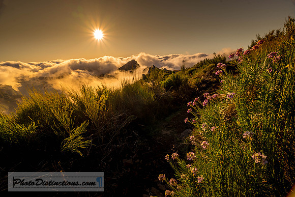 MADEIRA-6