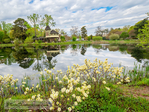 LEWIS GINTER-400-3-HDR-5
