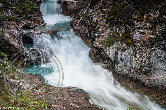 CANADIAN ROCKIES-3310