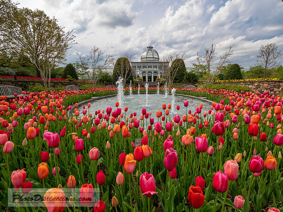 LEWWIS GINTER-421-HDR-11