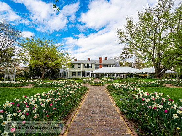 LEWIS GINTER-297-3-HDR-44