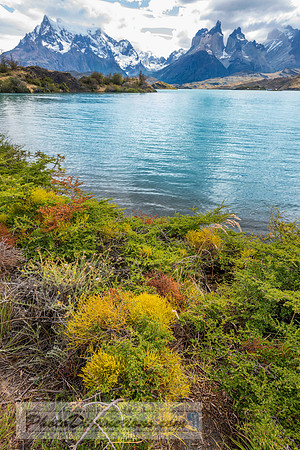 PATAGONIA (11 of 15)