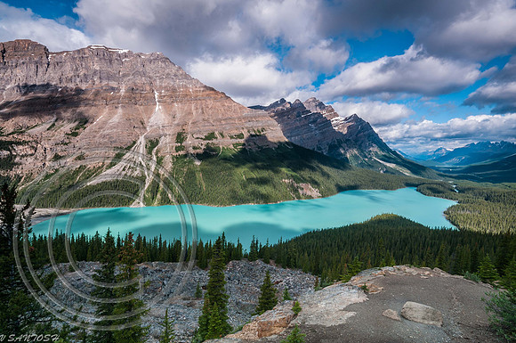 CANADIAN ROCKIES-3192