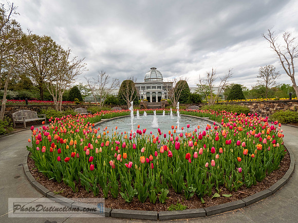 LEWIS GINTER-440-3-HDR-6