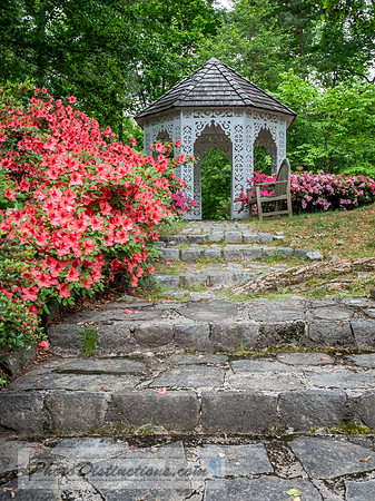 LEWIS GINTER-1037-HDR-53