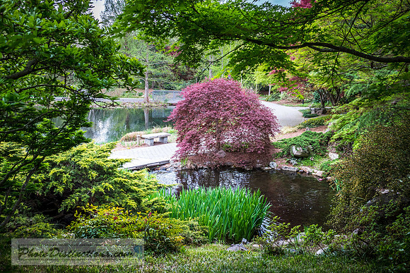 LEWIS GINTER-158-2-HDR-2