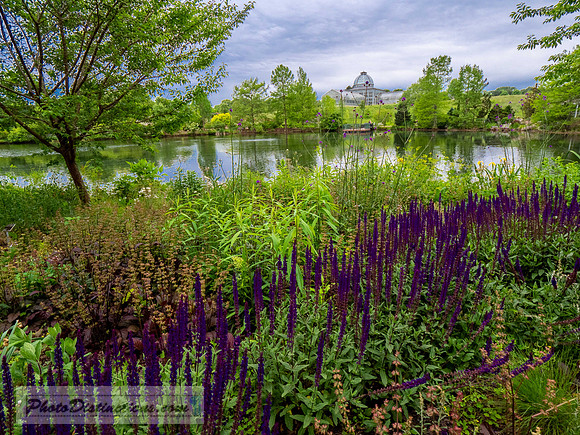 LEWIS GINTER-924-2-HDR-42