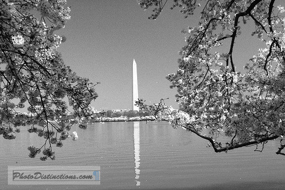 IMG_1135 b & w_edited-1