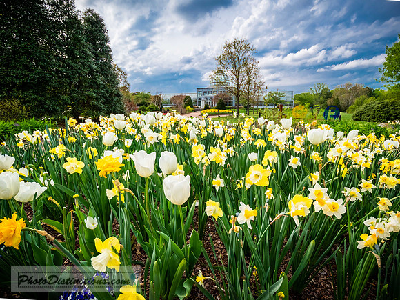 LEWWIS GINTER-352-HDR-31