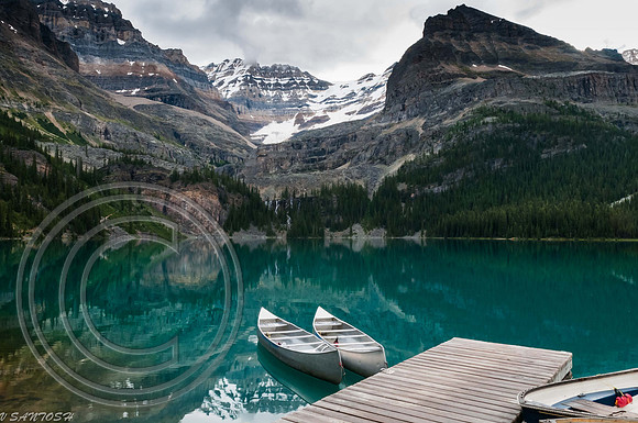 CANADIAN ROCKIES-4286