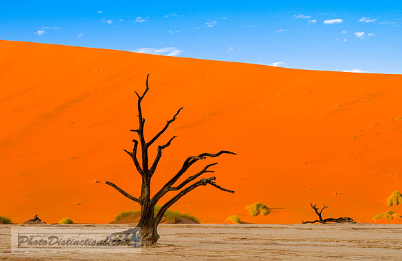 NAMIBIA-6
