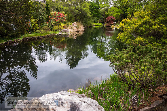 LEWIS GINTER-133-2-HDR-1