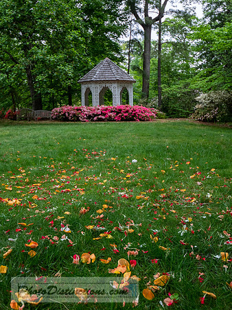 LEWIS GINTER-1137-HDR-54