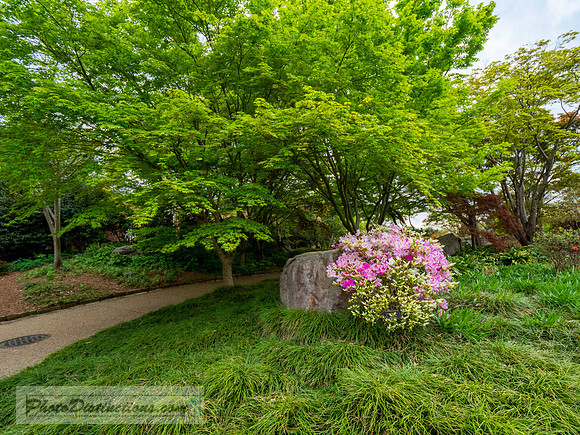 LEWWIS GINTER-142-2-HDR-27