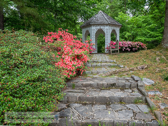 LEWIS GINTER-1023-HDR-43