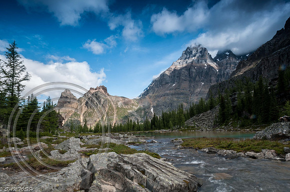CANADIAN ROCKIES-4357