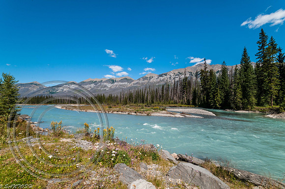 CANADIAN ROCKIES-4782