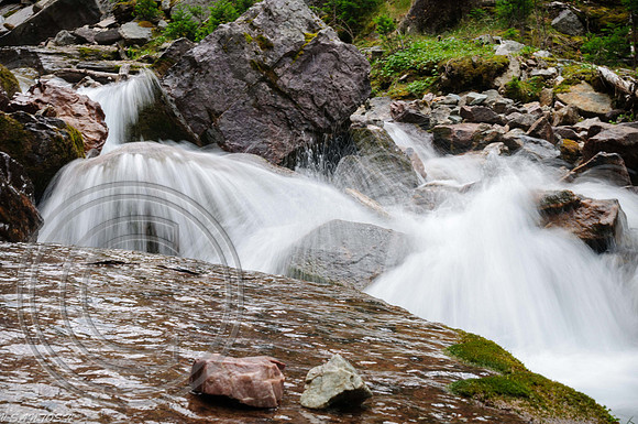 CANADIAN ROCKIES-4409