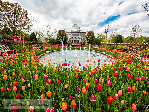 LEWIS GINTER-39-5-HDR-4