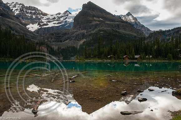 CANADIAN ROCKIES-4284