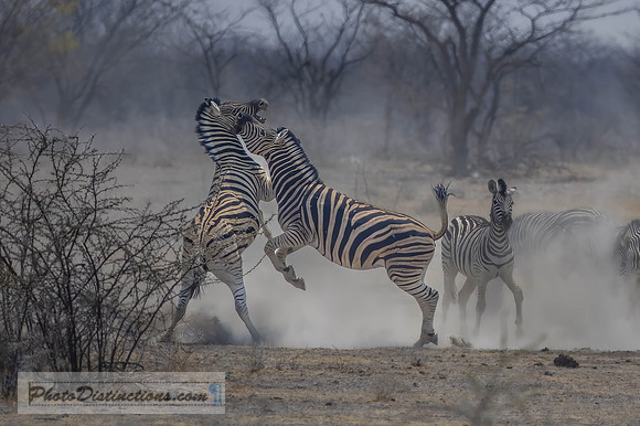 NAMIBIA-9