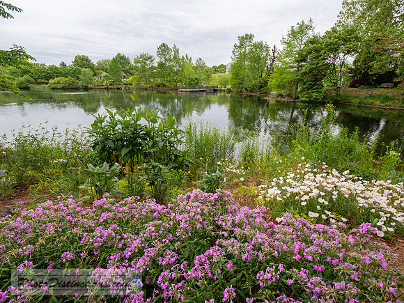 LEWIS GINTER-896-2-HDR-52